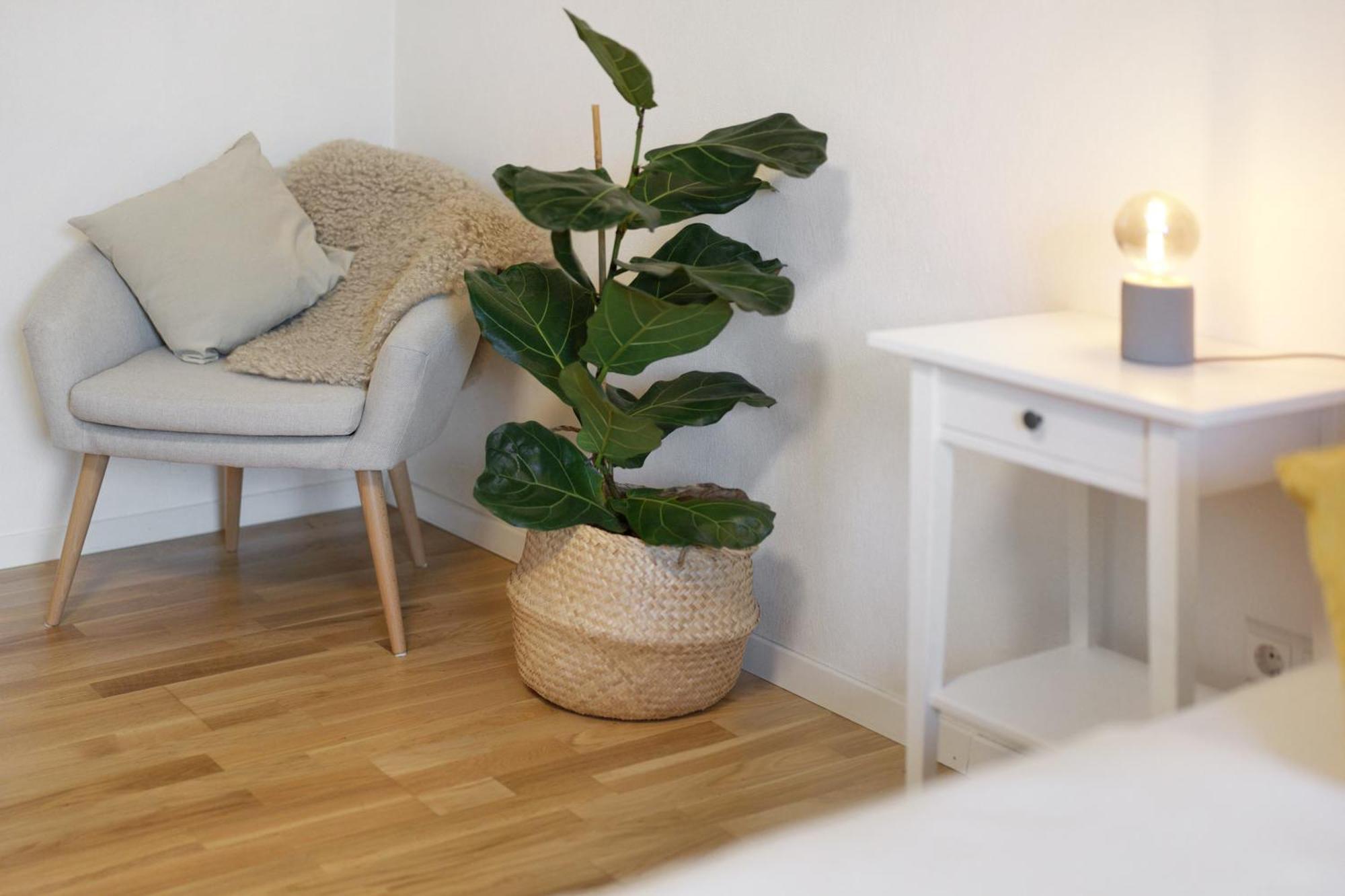 Ferienwohnung Obsthof Fiess Oberkirch  Luaran gambar